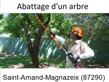 Etêtage et abattage d'un arbre Saint-Amand-Magnazeix-87290