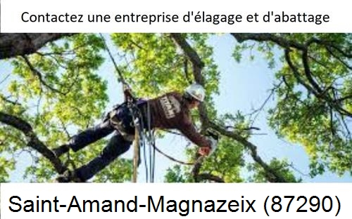 Travaux d'élagage à Saint-Amand-Magnazeix-87290