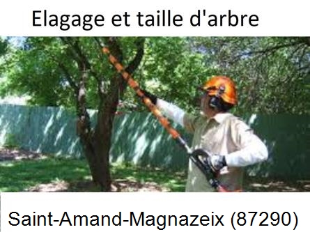 Elagage chez particulier Saint-Amand-Magnazeix-87290
