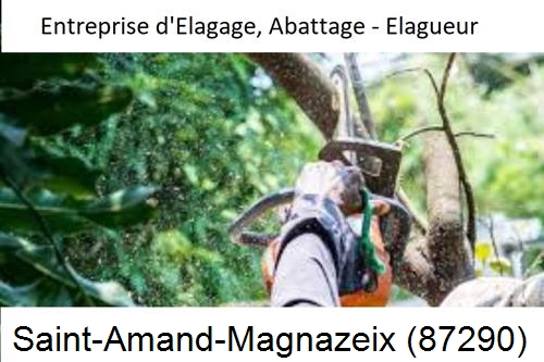 Travaux d'abattage d'arbres à Saint-Amand-Magnazeix-87290