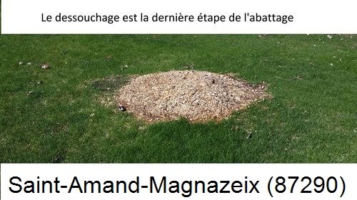 déssouchage d'arbres Saint-Amand-Magnazeix-87290