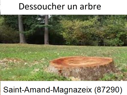 Travaux d'entretien extérieur Saint-Amand-Magnazeix-87290
