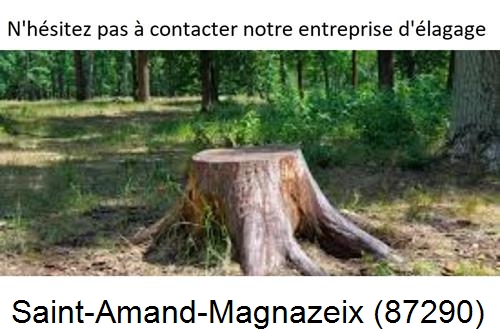 Elagage d'arbres à Saint-Amand-Magnazeix-87290