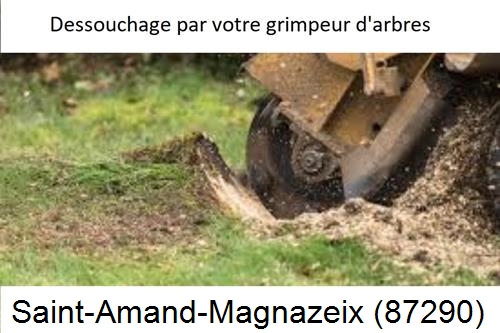 abattage d'arbres à Saint-Amand-Magnazeix-87290