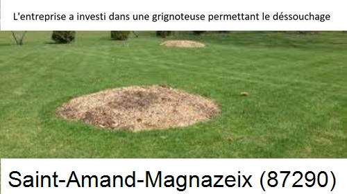 Artisan pour déssouchage d'arbres Saint-Amand-Magnazeix-87290