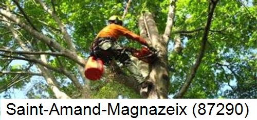 Déssouchage, étêtage d'arbres Saint-Amand-Magnazeix-87290