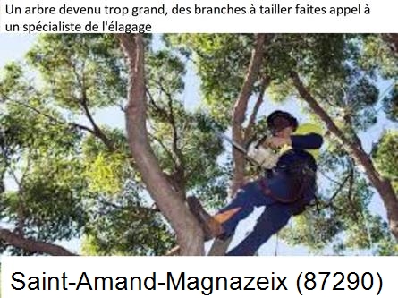 Elagueur qualifié à Saint-Amand-Magnazeix-87290