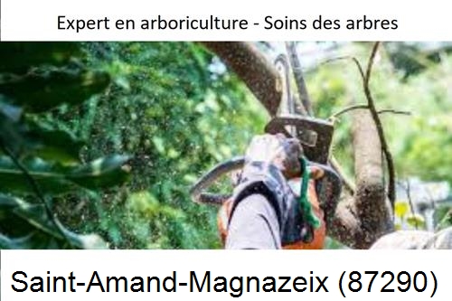 Elagage en sécurité à Saint-Amand-Magnazeix-87290