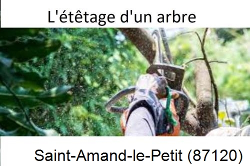 Artisan Abatteur d'arbres Saint-Amand-le-Petit-87120