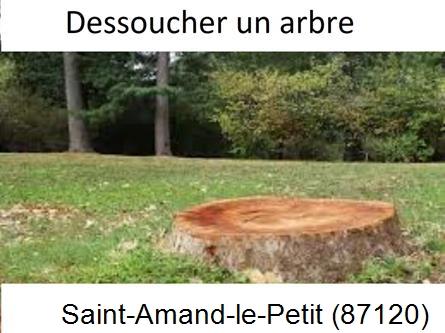 Travaux d'entretien extérieur Saint-Amand-le-Petit-87120