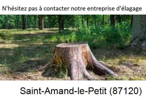 Elagage d'arbres à Saint-Amand-le-Petit-87120