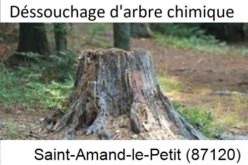 Elagueur déssouchage à Saint-Amand-le-Petit-87120