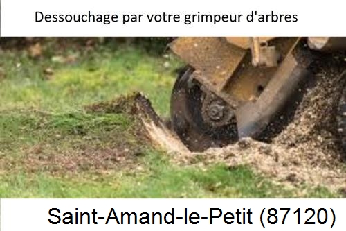 abattage d'arbres à Saint-Amand-le-Petit-87120