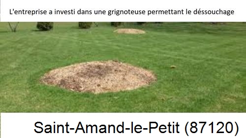 Artisan pour déssouchage d'arbres Saint-Amand-le-Petit-87120