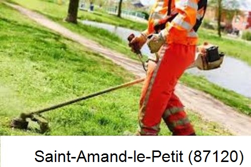 Entretien d'un jardin Saint-Amand-Magnazeix-87290