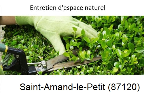Rénovation jardin particulier Saint-Amand-Magnazeix-87290