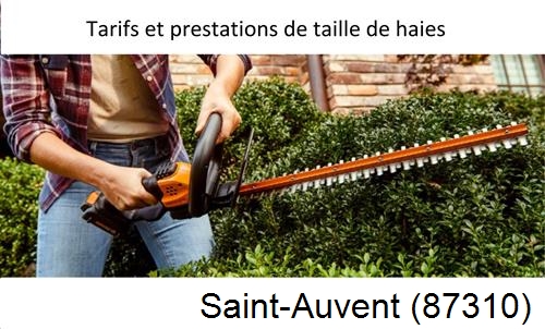 taille de haies Saint-Auvent-87310