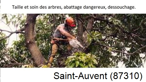 Abattage d'arbres Saint-Auvent-87310