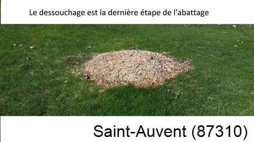 déssouchage d'arbres Saint-Auvent-87310