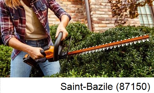 entretien jardin par paysagiste Saint-Bazile-87150