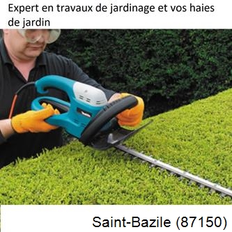Taille et entretien jardin Saint-Bazile-87150