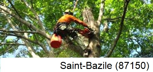 Entreprise du paysage Saint-Bazile-87150