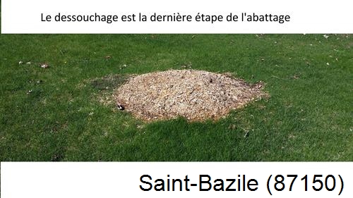 déssouchage d'arbres Saint-Bazile-87150