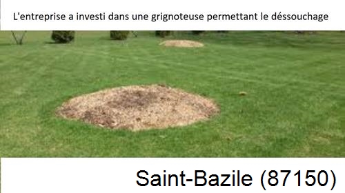 Artisan pour déssouchage d'arbres Saint-Bazile-87150