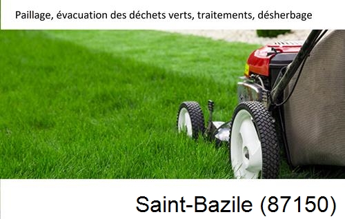 Entreprise de paysage pour entretien de jardin Saint-Bonnet-Briance-87260