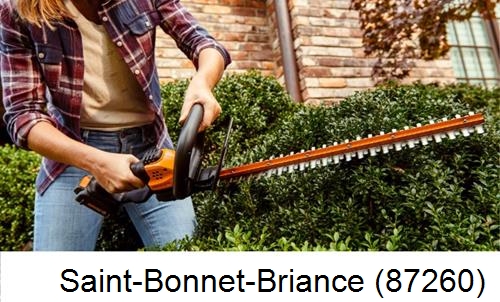 entretien jardin par paysagiste Saint-Bonnet-Briance-87260