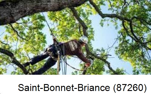 Abattage d'arbres chez un particulier Saint-Bonnet-Briance-87260