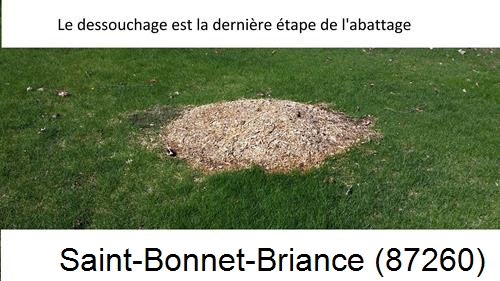 déssouchage d'arbres Saint-Bonnet-Briance-87260