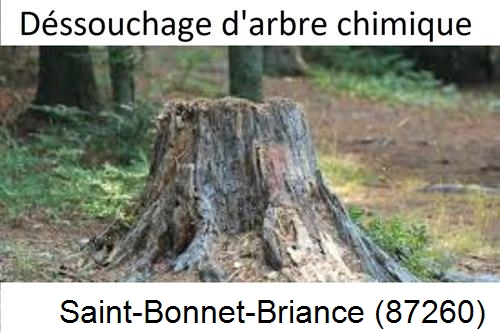 Elagueur déssouchage à Saint-Bonnet-Briance-87260