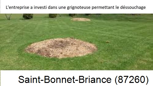 Artisan pour déssouchage d'arbres Saint-Bonnet-Briance-87260