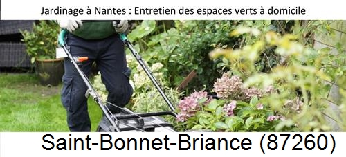 Travaux d'entretien exterieur Saint-Bonnet-de-Bellac-87300