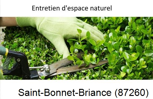 Rénovation jardin particulier Saint-Bonnet-de-Bellac-87300