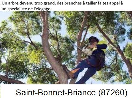 Elagueur qualifié à Saint-Bonnet-Briance-87260
