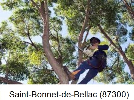 Elagueur à Saint-Bonnet-de-Bellac-87300