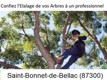 Société d'élagage à Saint-Bonnet-de-Bellac-87300