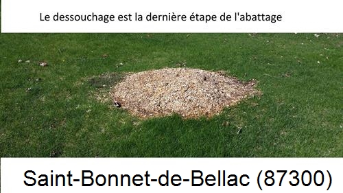 déssouchage d'arbres Saint-Bonnet-de-Bellac-87300