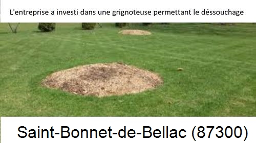 Artisan pour déssouchage d'arbres Saint-Bonnet-de-Bellac-87300
