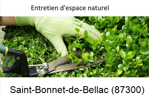 Rénovation jardin particulier Saint-Brice-sur-Vienne-87200