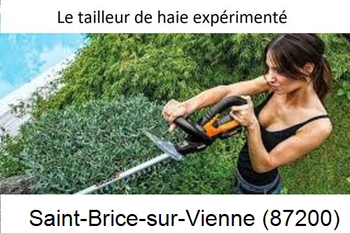 entretien jardin à Saint-Brice-sur-Vienne-87200
