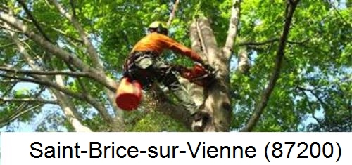 Entreprise du paysage Saint-Brice-sur-Vienne-87200