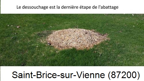 déssouchage d'arbres Saint-Brice-sur-Vienne-87200