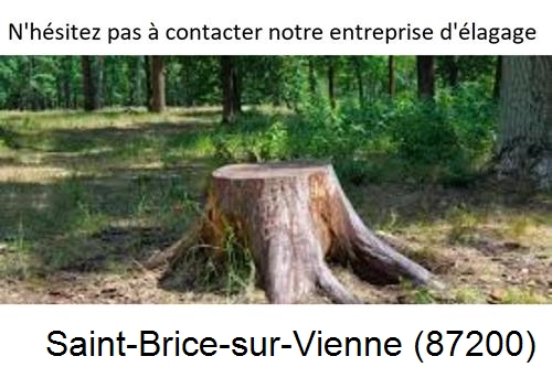 Elagage d'arbres à Saint-Brice-sur-Vienne-87200