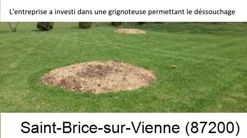 Artisan pour déssouchage d'arbres Saint-Brice-sur-Vienne-87200