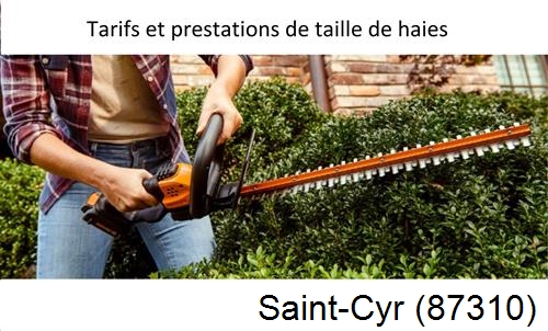 taille de haies Saint-Cyr-87310