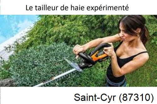 entretien jardin à Saint-Cyr-87310