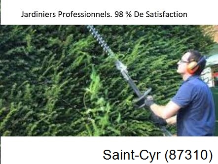 Paysagiste Saint-Cyr-87310